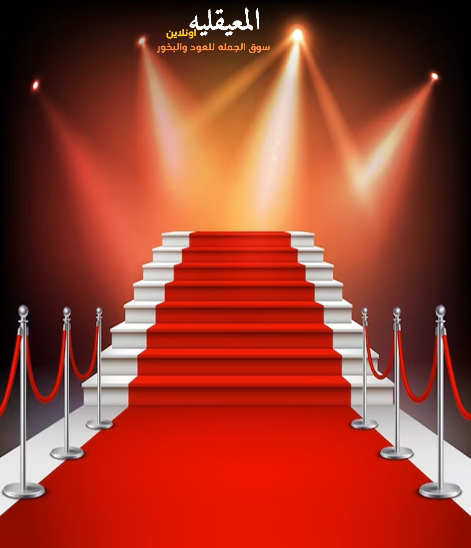 صورة صفحة تسجيل دخول العميل